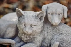 Gartendekoparadies Animaux-Chien et chat dans une complicité chaleureuse