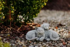 Gartendekoparadies Animaux-Chien et chat dans une complicité chaleureuse