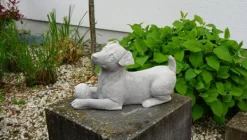 Gartendekoparadies Animaux-Chien Jack Russell Terrier