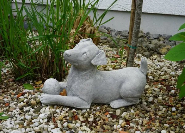 Gartendekoparadies Animaux-Chien Jack Russell Terrier
