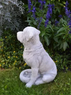 Gartendekoparadies Animaux-Chien Rottweiler