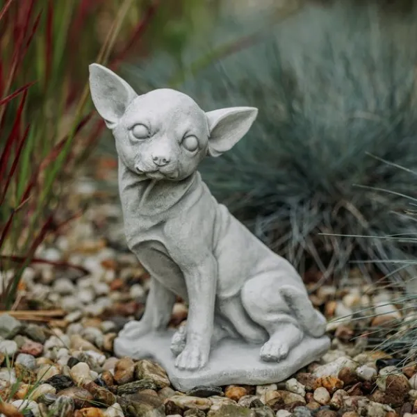 Gartendekoparadies Animaux-Chihuahua mignon