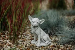 Gartendekoparadies Animaux-Chihuahua mignon