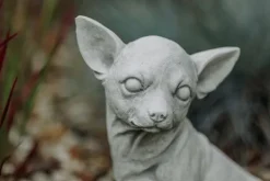 Gartendekoparadies Animaux-Chihuahua mignon