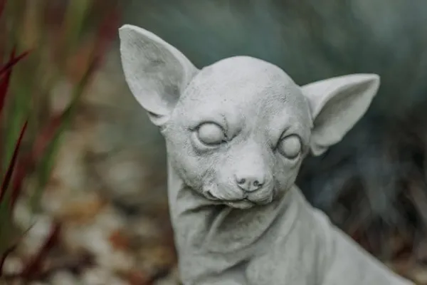 Gartendekoparadies Animaux-Chihuahua mignon