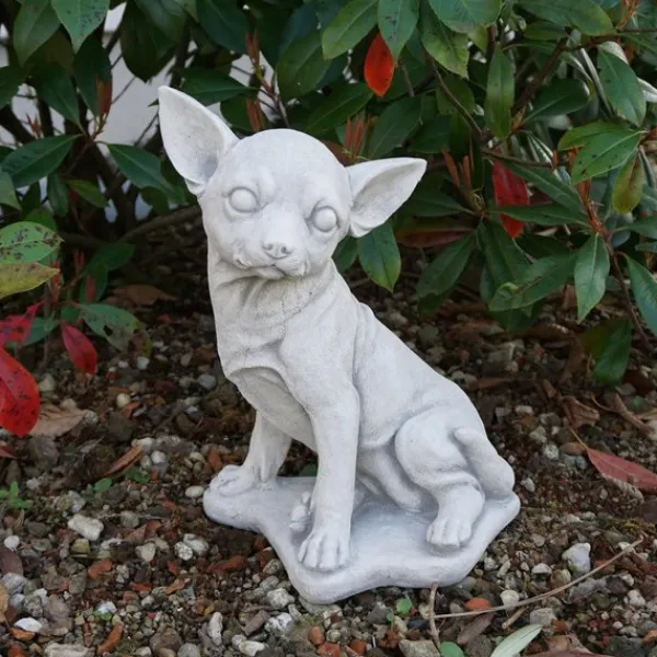 Gartendekoparadies Animaux-Chihuahua mignon