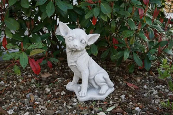 Gartendekoparadies Animaux-Chihuahua mignon