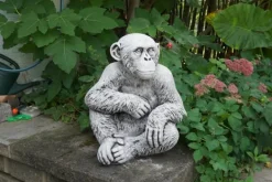 Gartendekoparadies Animaux-Chimpanzé drôle