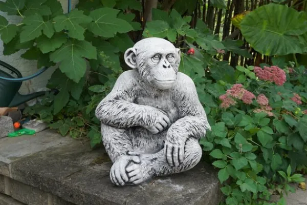 Gartendekoparadies Animaux-Chimpanzé drôle
