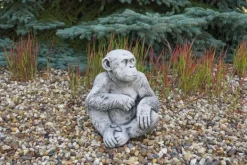 Gartendekoparadies Animaux-Chimpanzé drôle