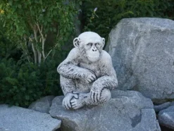 Gartendekoparadies Animaux-Chimpanzé drôle