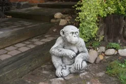 Gartendekoparadies Animaux-Chimpanzé drôle