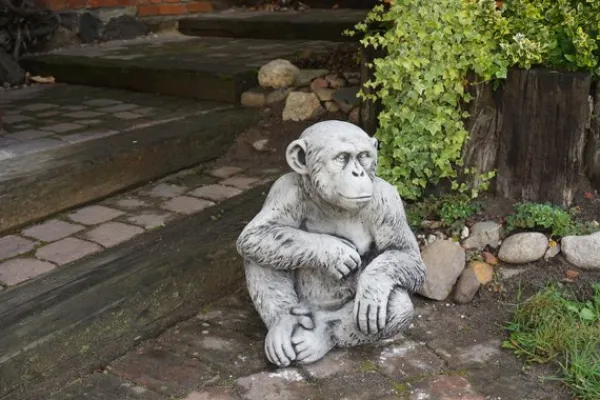 Gartendekoparadies Animaux-Chimpanzé drôle
