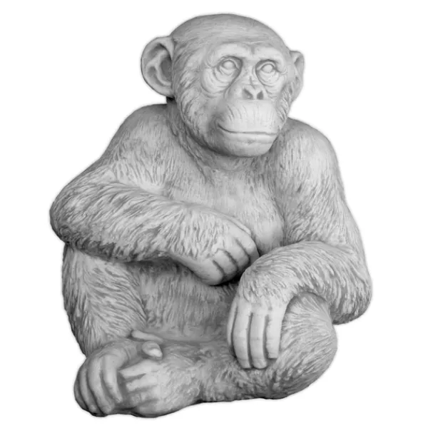 Gartendekoparadies Animaux-Chimpanzé drôle