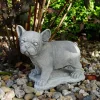 Gartendekoparadies Animaux-Chiot bouledogue français