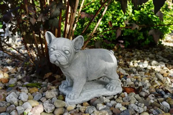 Gartendekoparadies Animaux-Chiot bouledogue français