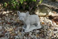 Gartendekoparadies Animaux-Chiot bouledogue français