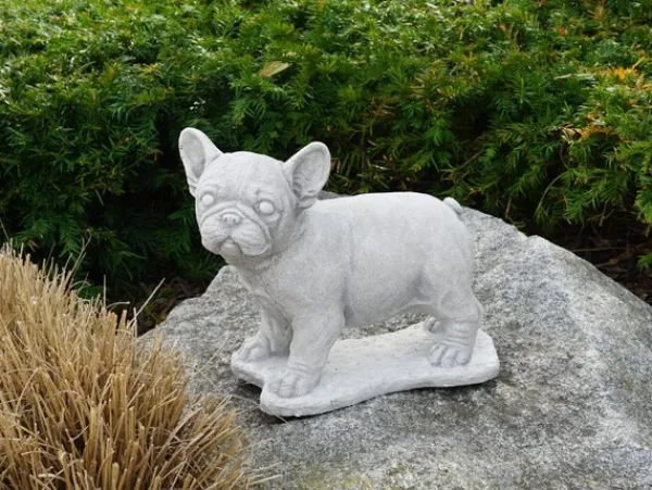 Gartendekoparadies Animaux-Chiot bouledogue français
