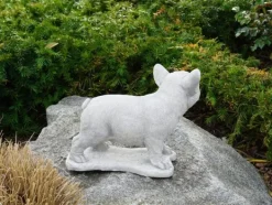 Gartendekoparadies Animaux-Chiot bouledogue français