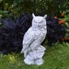 Gartendekoparadies Animaux-Chouette au plumage soigneusement dessiné