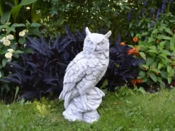 Gartendekoparadies Animaux-Chouette au plumage soigneusement dessiné