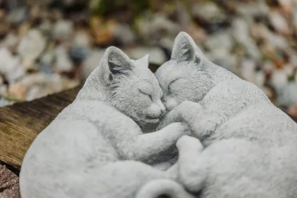 Gartendekoparadies Animaux-Couple de chats endormis