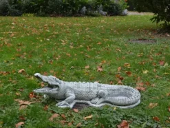 Gartendekoparadies Animaux-Crocodile énorme