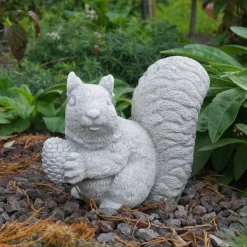 Gartendekoparadies Animaux-Écureuil
