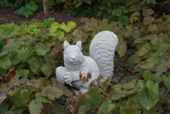 Gartendekoparadies Animaux-Écureuil