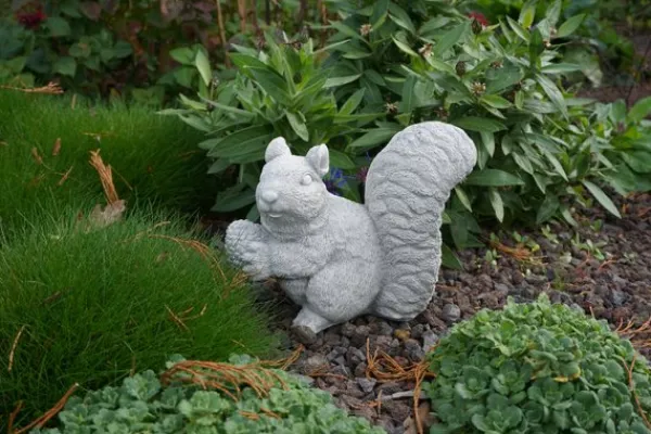 Gartendekoparadies Animaux-Écureuil
