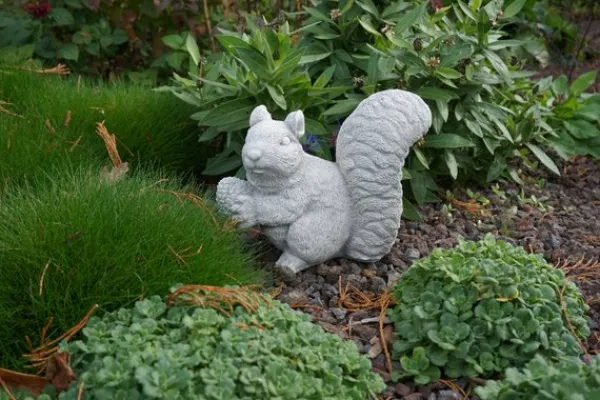 Gartendekoparadies Animaux-Écureuil