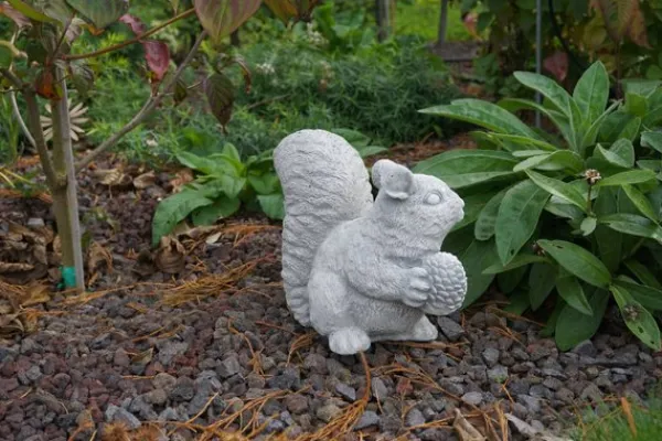Gartendekoparadies Animaux-Écureuil