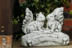 Gartendekoparadies Animaux-Écureuils mignons