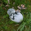Gartendekoparadies Animaux-Dinosaure III