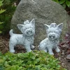 Gartendekoparadies Animaux-Ensemble : deux Yorkshire Terriers