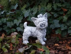 Gartendekoparadies Animaux-Ensemble : deux Yorkshire Terriers
