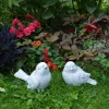 Gartendekoparadies Animaux-Ensemble avec deux oiseaux
