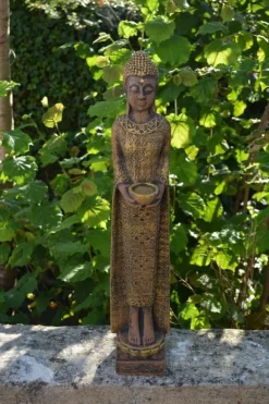 Gartendekoparadies Bouddhas-Figure étroite de Bouddha dans des tons bronze exclusifs