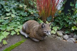 Gartendekoparadies Animaux-Figurine chat marron