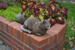 Gartendekoparadies Animaux-Figurine chat marron