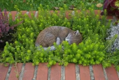 Gartendekoparadies Animaux-Figurine chat marron