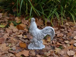Gartendekoparadies Animaux-figurine de coq
