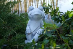 Gartendekoparadies Animaux-Froggi – la grenouille heureuse