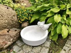 Gartendekoparadies Belle|Animaux-Grand abreuvoir avec deux oiseaux