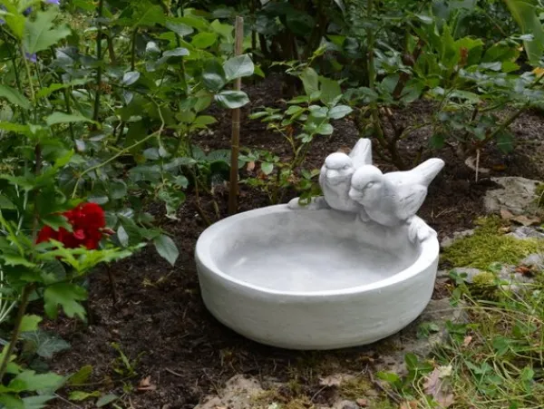 Gartendekoparadies Belle|Animaux-Grand abreuvoir avec deux oiseaux
