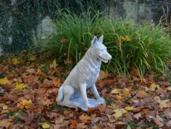Gartendekoparadies Animaux-Grand berger allemand