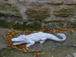 Gartendekoparadies Animaux-Grand croco
