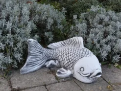 Gartendekoparadies Animaux-Grand poisson Saragoi