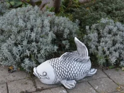 Gartendekoparadies Animaux-Grand poisson Saragoi
