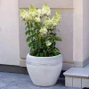 Gartendekoparadies Jardinières-Grand pot de fleurs avec relief